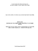 Báo Cáo Đánh Giá Tác Động Môi Trường Và Xã Hội (ESIA) Sửa Chữa Nâng Cấp Đảm Bảo An Toàn Hồ Chứa Nước