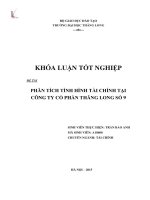 Phân tích tình hình Tài chính Công ty cổ phần Thăng Long số 9 (LV tốt nghiệp)