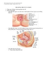 Bài giảng chụp cắt lớp vi tính tiểu khung