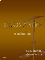Siêu âm xuyên thóp