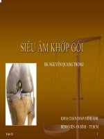 Siêu âm khớp gối