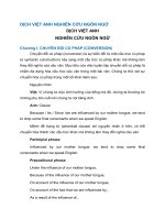 Dịch Việt Anh Nghiên Cứu Ngôn Ngữ