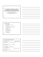 Các thông số kĩ thuật và tối ưu hóa hình ảnh trong cộng hưởng từ