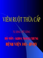 BỆNH VIÊM RUỘT THỪA CẤP
