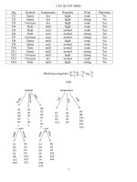 Các thuật toán Trí tuệ nhân tạo AI