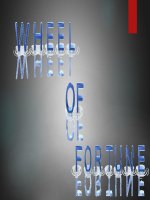 WHEEL OF FORTUNE (ppt)