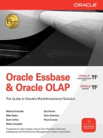 Oracle Essbase  Oracle OLAP: The Guide to Oracle’s Multidimensional Solution