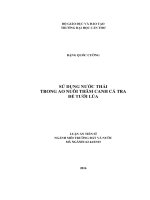Sử dụng nước thải trong ao nuôi thâm canh cá tra để tưới lúa (LA tiến sĩ)