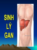 Bài Giảng về Sinh Lý Gan