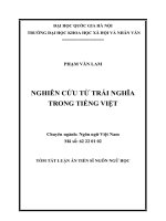 Nghiên cứu từ trái nghĩa trong tiếng việt 