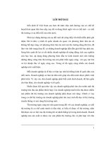 Một số biện pháp nhằm duy trì và mở rộng thị trường tiêu thụ sản phẩm tại Công ty cổ phần Dệt 1010 (LV tốt nghiệp)