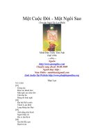 Một Cuộc Đời - Một Ngôi Sao