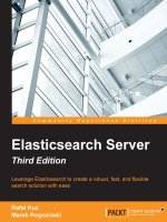 Elasticsearch Server 3rd
