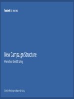 Facebook new campaign structure training (1) 