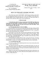 BÁO CÁO TỔNG KẾT NĂM HỌC 20122013