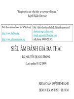 Siêu âm đánh giá đa thai
