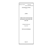 Nghiên cứu sử dụng tamin chế tạo dung dịch biến tính gỉ bảo vệ, tái bảo vệ chống ăn mòn cho sắt, thép (tt) 