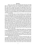 Luận án tiến sĩ chế tạo và nghiên cứu các đặc tính của dây nano si (tt) 