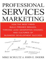 Professional services marketing mike schultz john doerr
