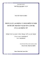 Pháp luật lao động và bảo hiểm xã hội dưới góc độ bảo vệ quyền làm mẹ của lao động nữ