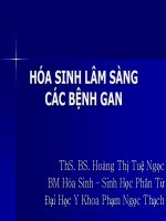 Hóa sinh lâm sàng các bệnh gan