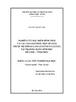 Nghiên cứu đặc điểm hình thái và cấu tạo giải phẫu một số loài thuộc họ Khoai lang (Convolvulaceae) tại trạm đa dạng sinh học Mê Linh – Vĩnh Phúc (LV tốt nghiệp)