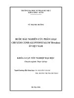 Bước đầu nghiên cứu phân loại chi Xâm cánh (Glyptopetalum Thwaites) ở Việt Nam (LV tốt nghiệp)