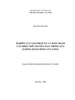 Nghiên cứu giải pháp xử lý rơm nhằm cải thiện môi trường đất trồng lúa ở Đồng bằng sông Cửu Long (LA tiến sĩ)
