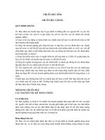 Hệ thống chuẩn mực kế toán việt nam 