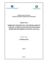 MARKETING STRATEGY OF LA VIE LIMITED LIABILITY COMPANY (COMPLETE SOLUTION FOR DEVELOPING MARKETING MIX MINERAL WATER OF LAVIE LTD) 