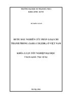 Bước đầu nghiên cứu phân loại chi Thanh phong (Sabia Colebr.) ở Việt Nam (LV tốt nghiệp)