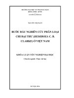 Bước đầu nghiên cứu phân loại chi Đại thư (Hemiboea C. B. Clarke) ở Việt Nam (LV tốt nghiệp)