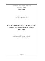 Bước đầu nghiên cứu phân loại chi Lõa châu (Gymnosporia (Wight  Arn.) Benth.  Hook.f.) ở Việt Nam (LV tốt nghiệp)