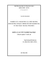 Nghiên cứu ảnh hưởng của môi trường dinh dưỡng tới quá trình lên men kombucha từ trà Ngọc Thanh, Vĩnh Phúc (LV tốt nghiệp)