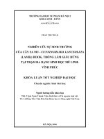 Nghiên cứu sinh trưởng của cây Sa mu – Cunninghamia lanceolata (Lamb.) Hook. trồng làm giàu rừng tại Trạm Đa dạng sinh học Mê Linh – Vĩnh Phúc (LV tốt nghiệp)