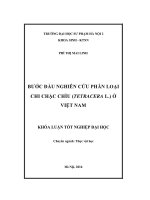 Bước đầu nghiên cứu phân loại chi Chặc chìu (Tetracera L.) ở Việt Nam (LV tốt nghiệp)