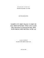 Nghiên cứu hiện trạng và một số đặc điểm sinh học tôm càng xanh (Macrobrachium rosenbergii De Man, 1879) nuôi trong môi trường nước lợ (LA tiến sĩ)