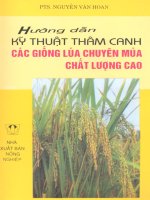 Hướng dẫn kỹ thuật thâm canh các giống lúa chuyên mùa chất lượng cao 