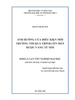 Ảnh hưởng của điều kiện môi trường tới quá trình lên men rượu vang sim (LV tốt nghiệp)