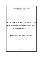 Buớc đầu nghiên cứu phân loại chi Vi lường (Microtropis Wall. ex Meisn.) ở Việt Nam (LV tốt nghiệp)