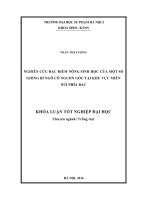 Nghiên cứu đặc điểm nông sinh học của một số giống bí ngô có nguồn gốc tại khu vực miền núi phía bắc (LV tốt nghiệp)