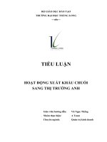 Tiểu luận Thương mại quốc tế: xuất khẩu sang thị trường Anh