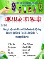 Đánh giá hiệu quả chăn nuôi bò sữa của các hộ nông dân trên địa bàn xã tản lĩnh, huyện ba vì, 