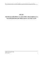 Đánh giá mô hình và cách thức hoạt động của ngành kinh doanh theo mạng tại việt nam 