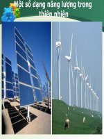 bai 13 Mot so dang nang luong  trong te bao