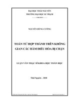 Toán tử hợp thành trên không gian các hàm điều hòa bị chặn