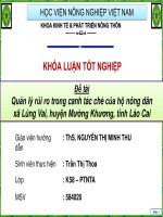 Quản lý rủi ro trong canh tác chè của hộ nông dân  
