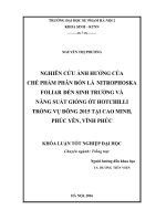 Nghiên cứu ảnh hưởng của chế phẩm phân bón lá Nitrophoska Foliar đến sinh trưởng và năng suất giống ớt Hotchilli trồng vụ đông 2015 tại Cao Minh, Phúc Yên, Vĩnh Phúc (LV tốt nghiệp)