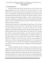 Hoạch định kế hoạch Marketing xuất khẩu cho sản phẩm gạo tại thị trường Philipin của Công ty Cổ Phần Lương Thực Sông Hậu