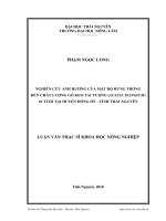 Nghiên cứu ảnh hưởng của mật độ rừng trồng đến chất lượng gỗ keo tai tượng (Acacia Mangium) 10 tuổi tại huyện Đồng Hỷ - tỉnh Thái Nguyên